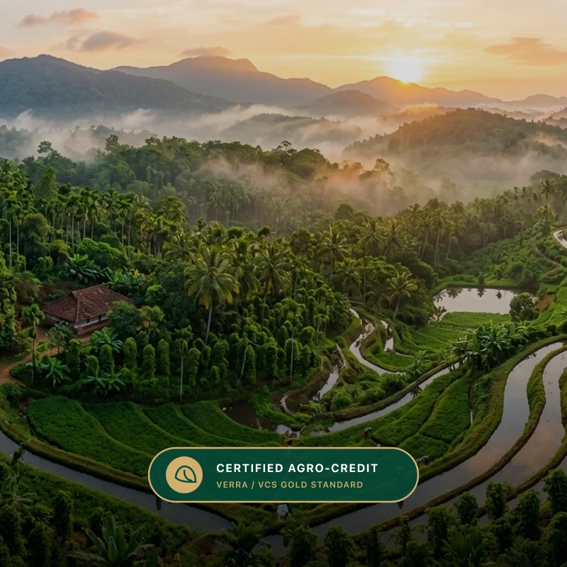 High-Sequestration Carbon Offsets